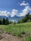 Randonnée à cheval au lac d'Annecy