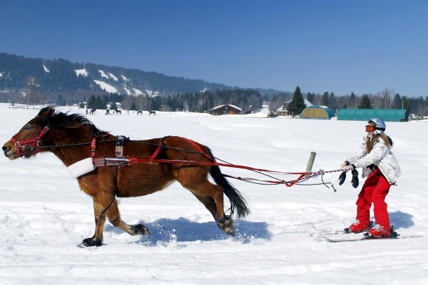 ski joering équipement