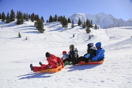 Tobogganing in mountain pastures 