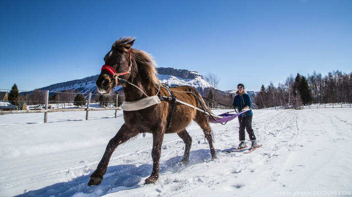 Ski joering Annecy Savoie