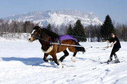 Outdoor Activity Ideas for Unforgettable Christmas Holidays in Savoie and Haute-Savoie